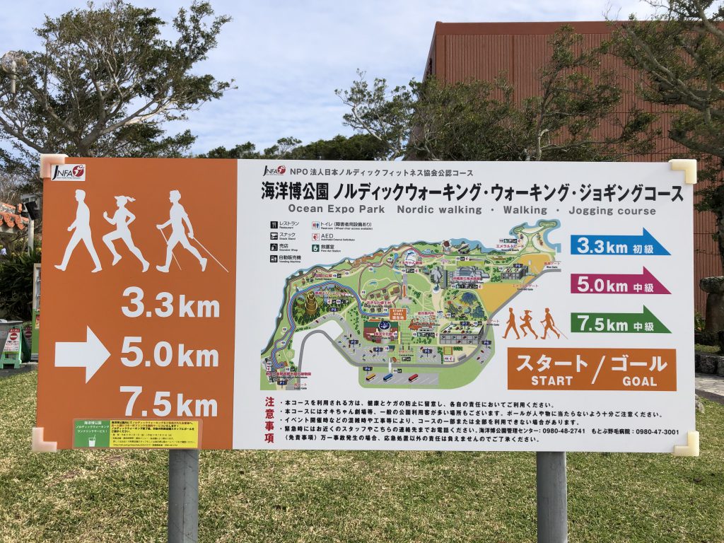Okinawa Run 海洋博公園 スポーツするならhimaraya Staff Blog